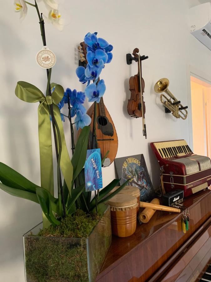 Music House Palinuro Bed & Breakfast Exterior photo